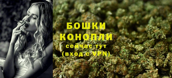 стаф Михайловск