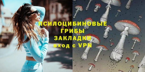 стаф Михайловск