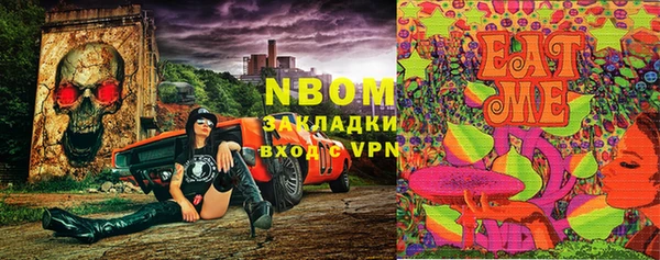 стаф Михайловск