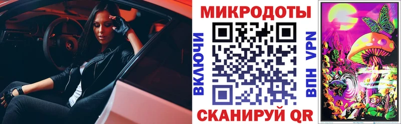 Псилоцибиновые грибы Psilocybe как найти закладки Монино
